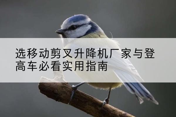 淮阳电动升降机厂家-选移动剪叉升降机厂家与登高车必看实用指南