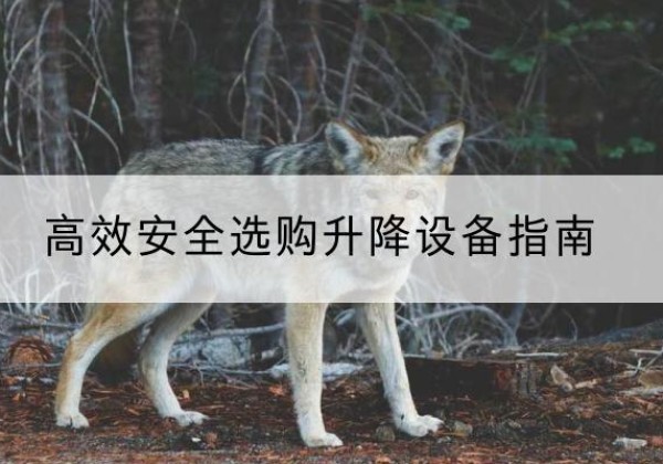 淮阳升降货梯厂家推荐-*安全选购升降设备指南
