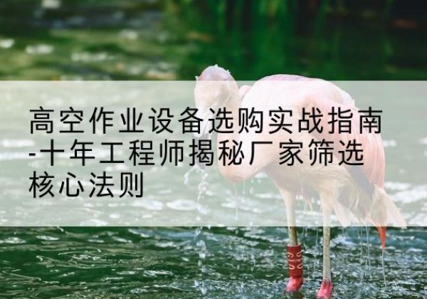 淮阳剪叉式升降机厂家-高空作业设备选购实战指南-十年工程师揭秘厂家筛选核心法则